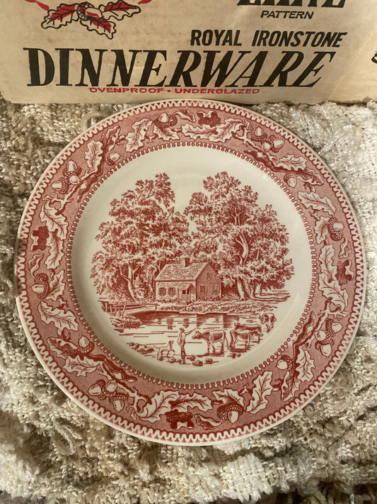 Memory Lane Pattern Royal Ironstone Dinnerware 4 Piece Place Setting