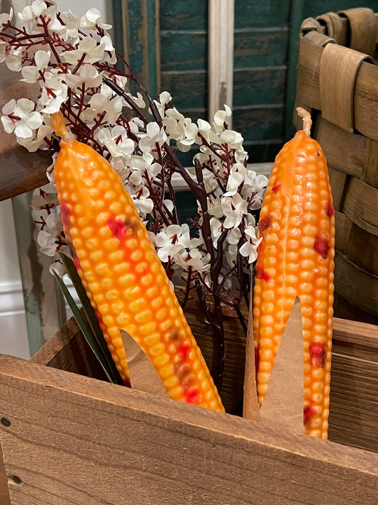 Vintage Corn Cob Candles (Set of 2)