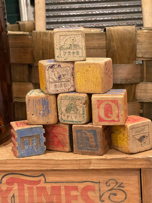 Vintage Children’s Blocks (10)