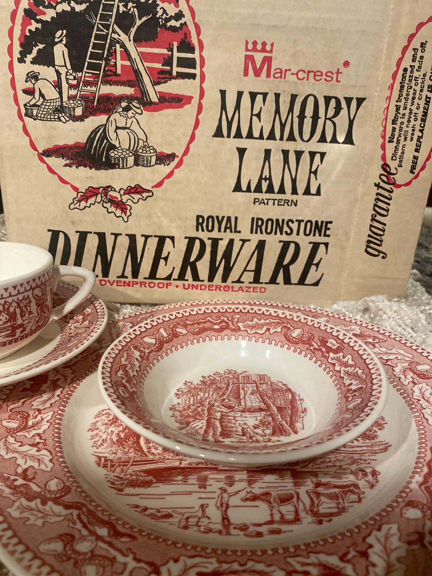 Memory Lane Pattern Royal Ironstone Dinnerware 4 Piece Place Setting